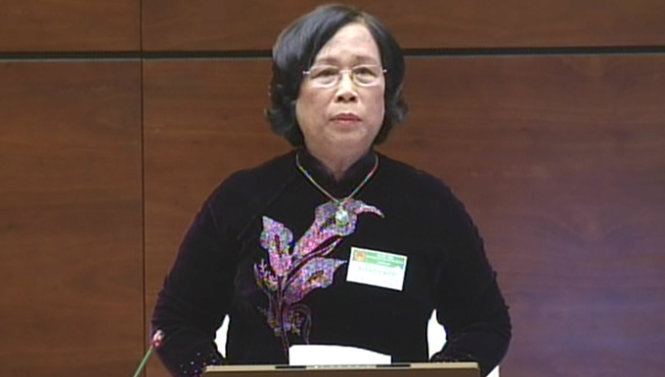 Phạm Thị Hải Chuyền, Bộ trưởng Bộ Lao động, thương binh và xã hội, trả lời chất vấn sáng 19-11-2014 