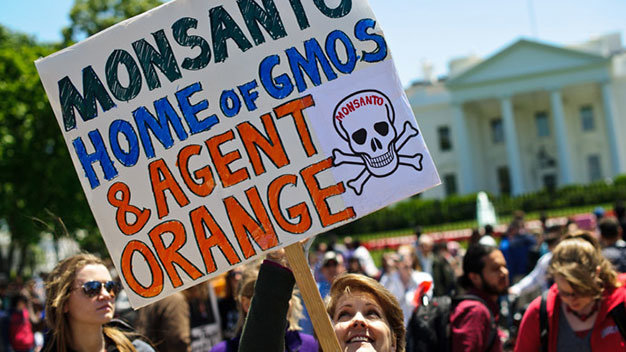 Biểu tình phản đối Tập đoàn Monsanto trước Nhà Trắng tại Washington hôm 25-5-2013 - Ảnh: AFP
