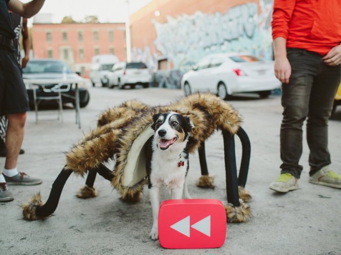 Nhện đầu chó được dàn dựng lại trong YouTube Rewind - Ảnh: Wired