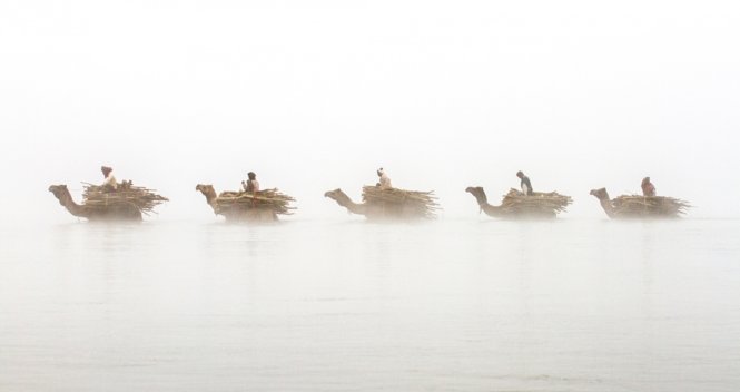Cưỡi đàn lạc đà băng ngang sông Chambal, Ấn Độ đoạt giải đặc biệt hạng mục ảnh đơn “Trái đất, lửa, không khí và nước” thuộc về tác giả người Anh Patrick Griffiths