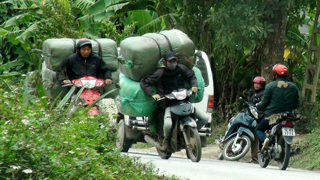 Đội quân “xe bay” chuyển hàng từ đường mòn trong núi ở khu Pò Cại (xã Tân Mỹ, huyện Văn Lãng) ra đường lộ - Ảnh: Lâm Hoài