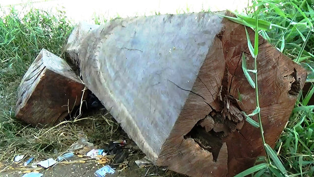 Gỗ tang vật bị Hạt Kiểm lâm huyện Hàm Thuận Nam bắt quả tang đang được giữ tại cơ quan này để điều tra làm rõ
