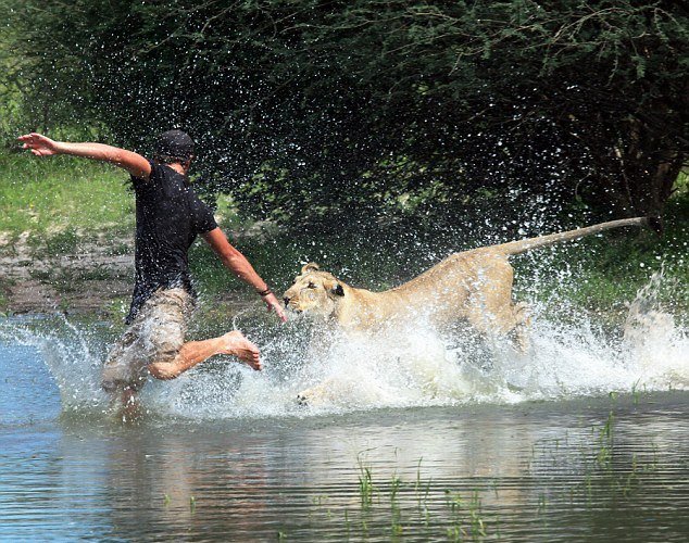 Anh Gruener và sư tử Sirga chơi đùa trong thiên nhiên hoang dã - Ảnh: Daily Mail