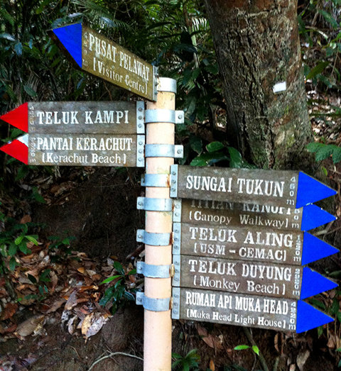 Biển chỉ đường trong vườn quốc gia Penang - Ảnh: Tấn Phong