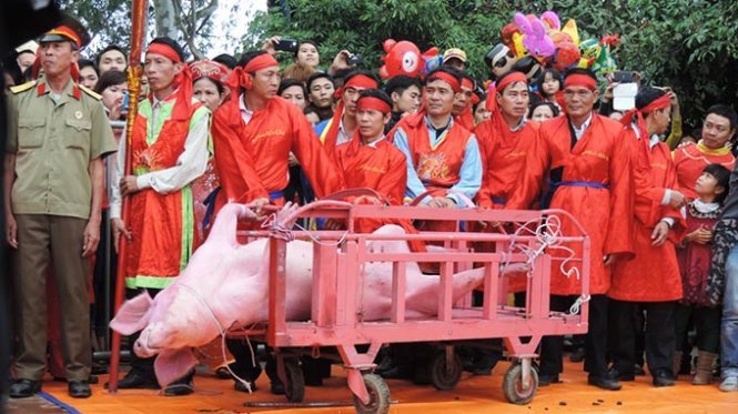 Lễ hội chém lợn ở Bắc Ninh - Ảnh: ANIMALS ASIA cung cấp