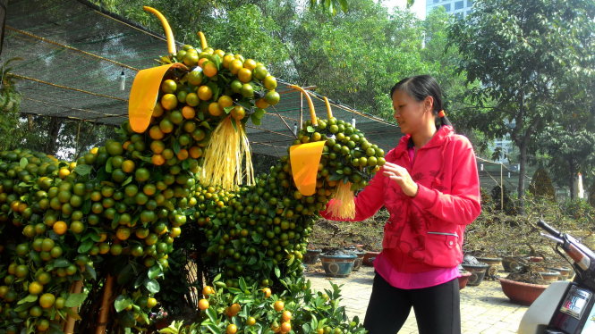 Tắc tạo hình cặp dê ra giá bán 8 triệu đồng tại chợ hoa khu đô thị Phú Mỹ Hưng (Q.7). Ảnh Hoàng Lộc