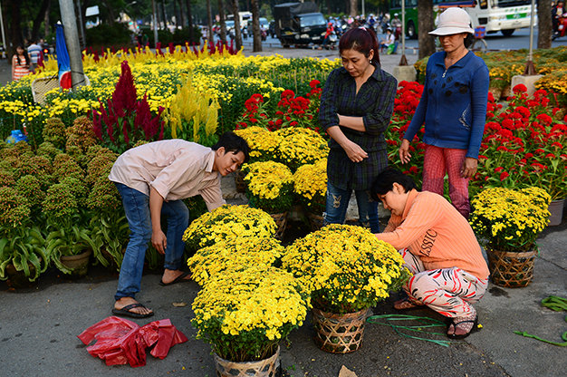 Chọn mua hoa tại công viên Gia Định, Q.Gò Vấp, TP.HCM chiều 10-2 - Ảnh: Quang Định