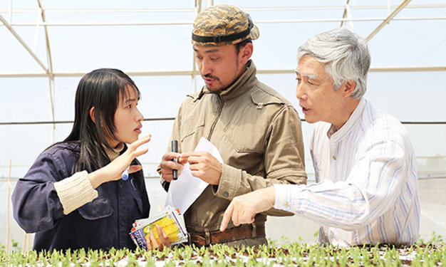 Trần Thị Lưu trao đổi với các chuyên gia người Nhật về ươm giống xà lách Mỹ theo công nghệ Nhật - Ảnh: Mai Vinh