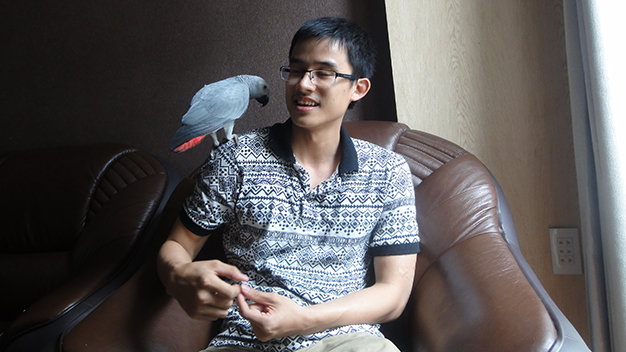 Hải Triều và chú vẹt xám châu Phi