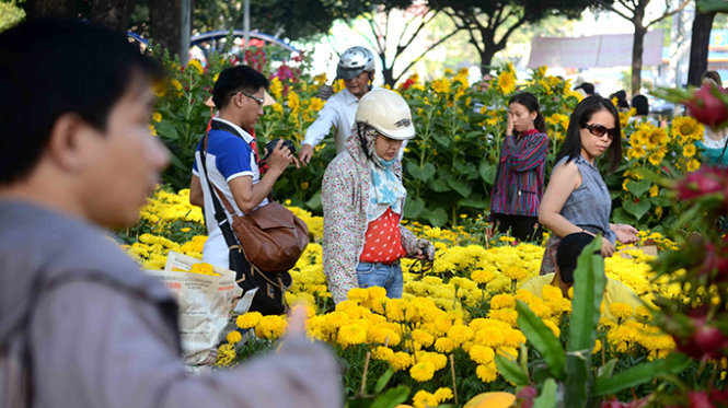 Khách mua hoa tới chợ hoa tại công viên 23-9 nhưng chủ yếu để thăm quan và chụp hình - Ảnh: Thanh Tùng