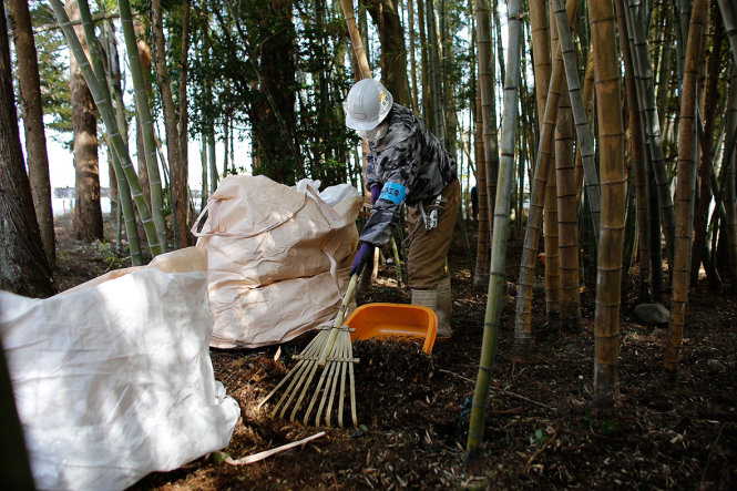 Một công nhân đang cào đất và mùn lá tre bị ô nhiễm phóng xạ tại thị trấn Okuma - Ảnh: Reuters