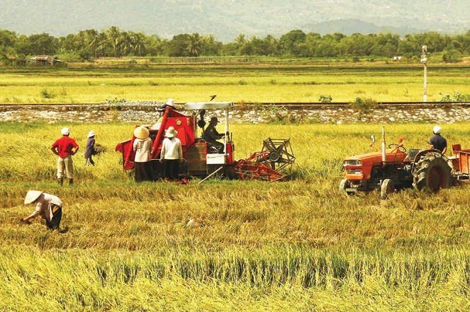 Nguồn: Cổng thông tin điện tử Chính phủ