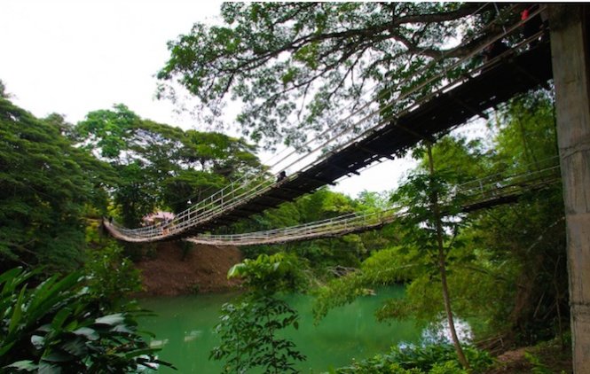 Cầu Tigbao Hanging ở Phillipines khá độc đáo. Mặc dù nó được làm từ kim loại nhưng ít du khách nhận biết chính xác chất liệu của nó, vì phần lớn được phủ trúc bên ngoài, tạo vẻ thân thiện môi trường - Ảnh: CNN