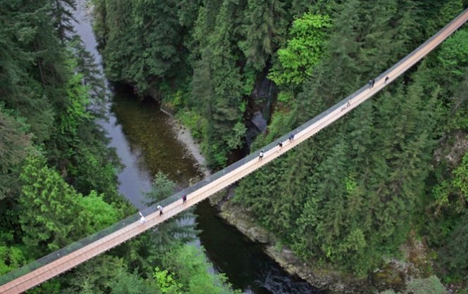Cầu Capilano Suspension nằm ở độ cao 70m ngay trên con sông Capolano, Vancouver, Canada. Nhìn từ trên cao, cầu Capilano Suspension như một đường dài thẳng tắp, không khuyết điểm.