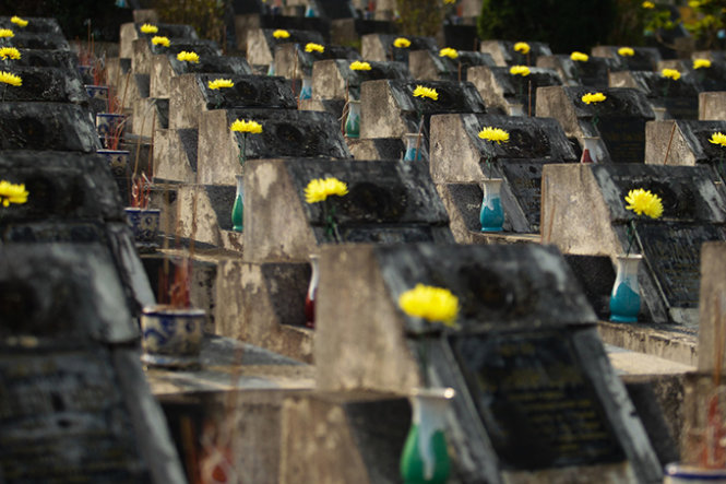 Những bông hoa cúc vàng được đặt trang trọng trên các phần mộ của liệt sĩ - Ảnh: Nguyễn Khánh