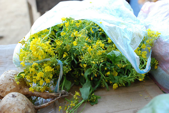 Ngồng cải vàng và củ đậu từ vườn nhà được đưa xuống chợ