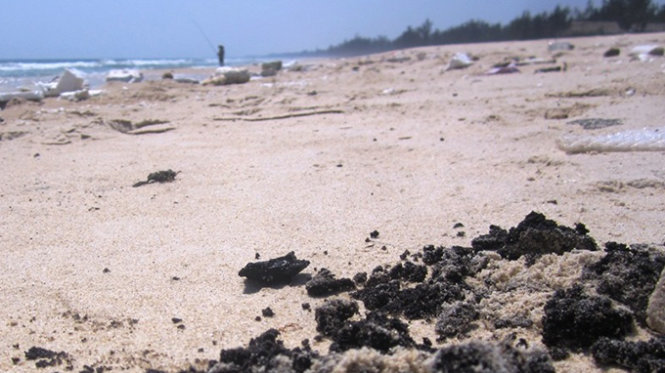 Dầu thô vón cục dạt vào bờ biển xã Trung Giang những ngày qua - Ảnh: Quốc Nam  