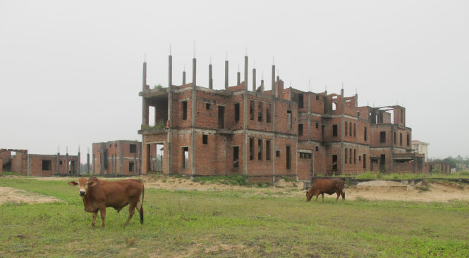 Biệt thự bỏ hoang - Ảnh: Hồ Văn