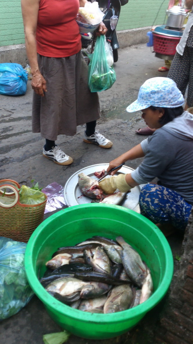Bà Hằng - một trong những đầu nậu thu gom cá của các ghe xuồng đánh bắt cá trên kênh Nhiêu Lộc - Thị Nghè - mang ra chợ Nhỏ (P.15, Q.Bình Thạnh) bán