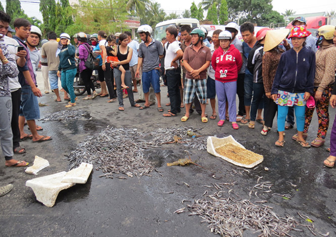 Người dân đổ tôm, cá chết ra quốc lộ 1 chiều 20-4 để phản đối việc xáng cạp gây ô nhiễm môi trường đầm Thủy Triều - Ảnh: Duy Thanh