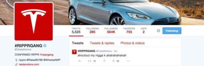 Tài khoản Twitter của Tesla bị đổi tên sang @RIPPRGANG - Ảnh: Venturebeat