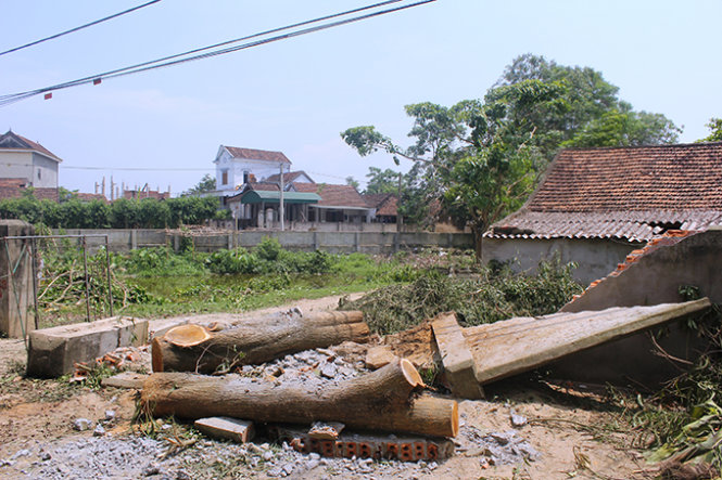 Lốc xoáy làm cây đổ đè tường sập ở xã Thanh Giang, huyện Thanh Chương (Nghệ An) - Ảnh: Doãn Hoà 