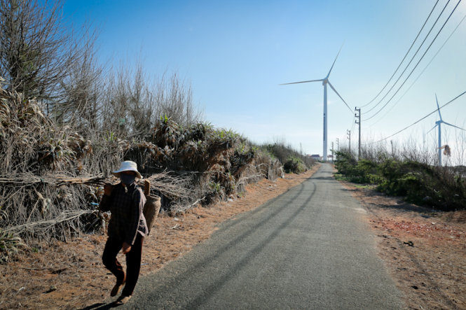 Ngày nay, đến với Phú Quý du khách không nên bỏ qua những tuabin điện gió. Đây được xem là công trình điện gió trên đảo đầu tiên tại VN - Ảnh: Tiến Thành