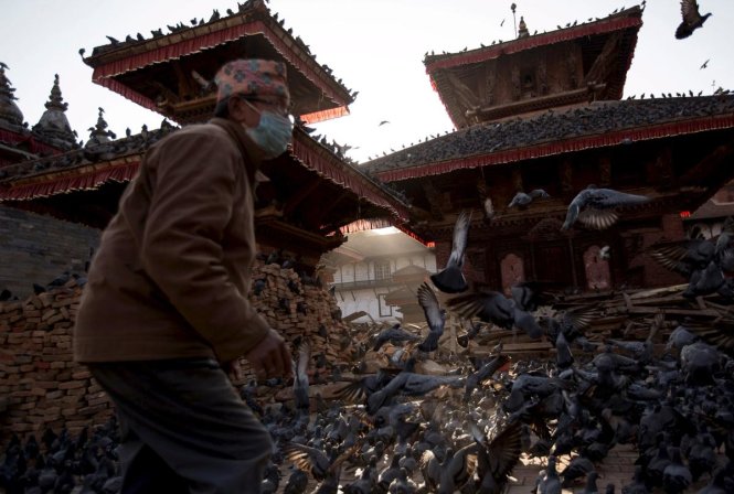 Người đàn ông cho bồ câu ăn tại một ngôi đền bị hư hại sau động đất ở thủ đô Kathmandu, Nepal ngày 3-5 - Ảnh: Reuters
