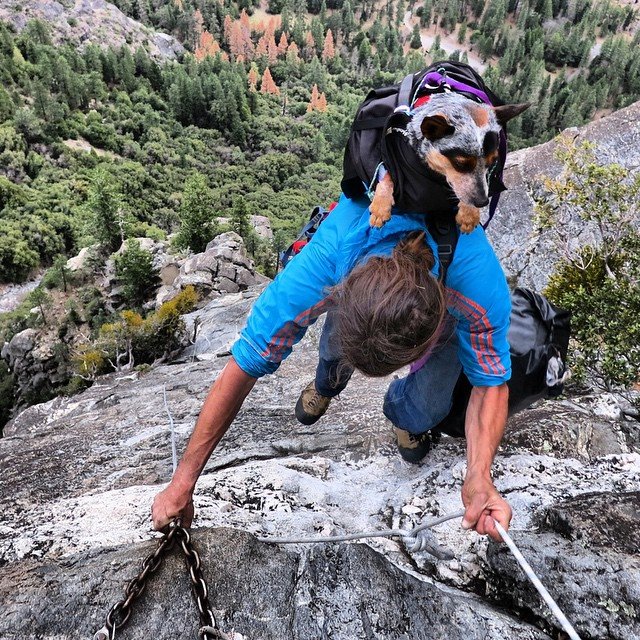 Ông Dean Potter và chú chó Whisper trong một chuyến leo núi mạo hiểm - Ảnh: instagram.com