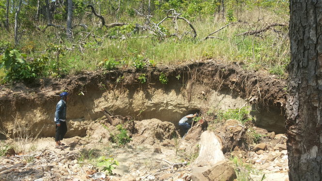 Một hầm mỏ được đào khoét giữa rừng để khai thác vàng tại xã Pờ Tó (huyện Ia Pa, tỉnh Gia Lai) - Ảnh: Thái Bá Dũng
