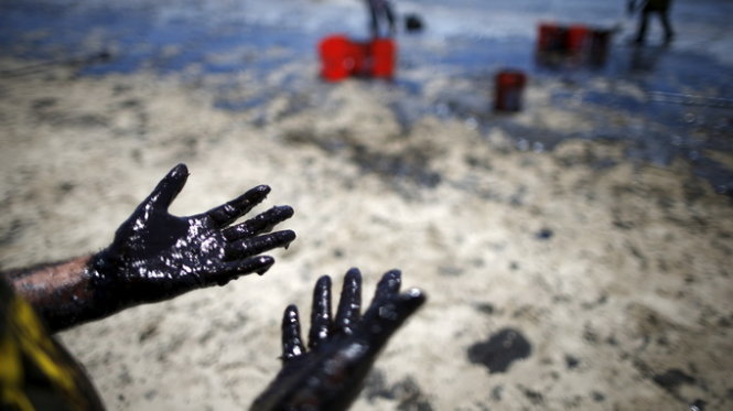 Một tình nguyện viên đã phải dùng tay dọn dầu ở khu vực bãi biển Santa Barbara - Ảnh:Reuters