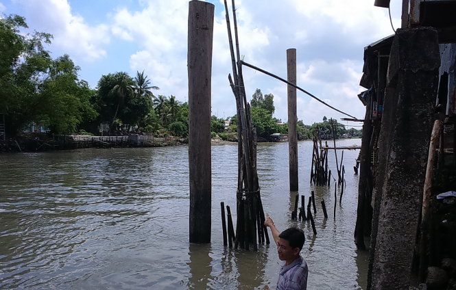 Bờ kênh Cái Sắn vốn bị xói lở nặng, người dân lo ngại nếu đóng thêm hàng trụ gỗ to như thế này sẽ gây sạt lở đất dẫn tới sập nhà Ảnh: Đ.VỊNH