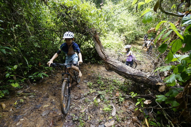 Đạp xe trong rừng Mã Đà, Đồng Nai là một trải nghiệm dịp hè thú vị - Ảnh: Quang Định