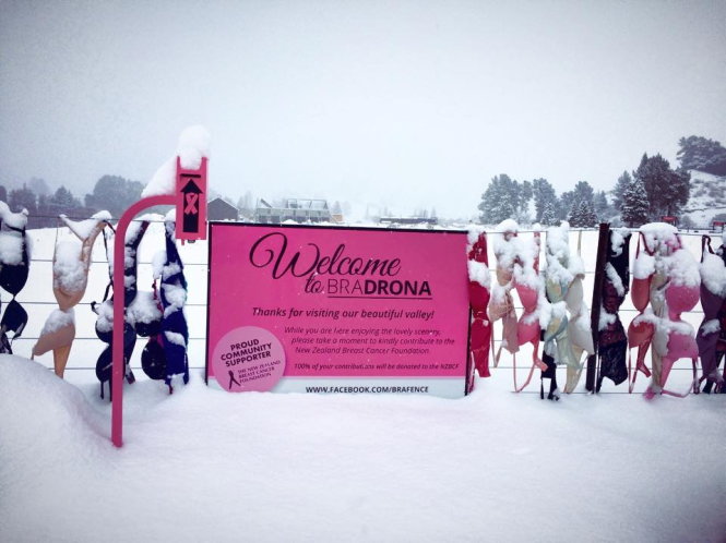  Hàng rào áo lót trong ngày tuyết rơi - Ảnh: Facebook của Bradrona