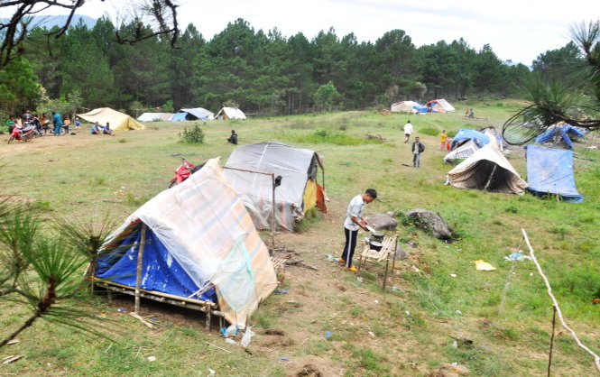 Những túp lều tạm bợ của các hộ dân tại tiểu khu 111A, xã Lát, huyện Lạc Dương