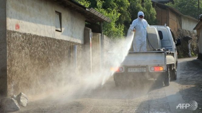 Một nhân viên y tế phun dung dịch sát khuẩn tại một ngôi làng thuộc hạt Sunchang Ảnh: AFP