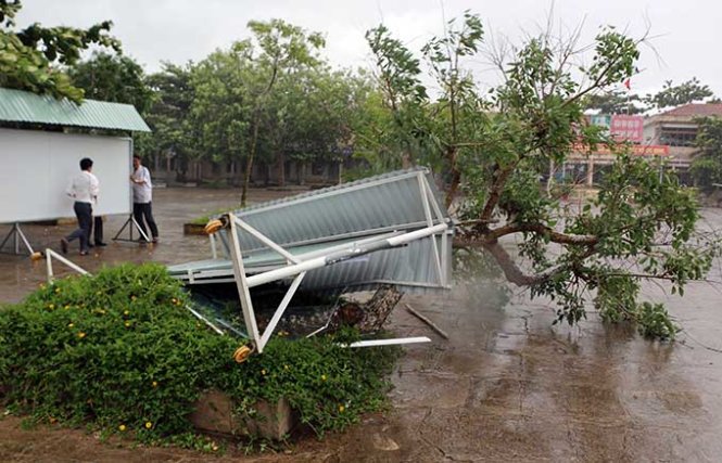 Bảng thông báo, cây xanh trong sân trường Lê Thị Riêng bị gió lốc quật ngã - Ảnh: Thảo Quyên