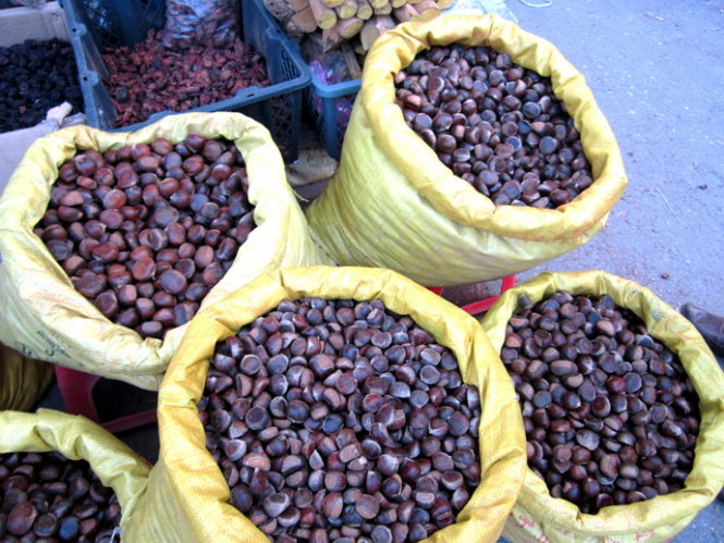 Hạt dẻ Trùng Khánh được thu hoạch vào dịp cuối thu đầu đông