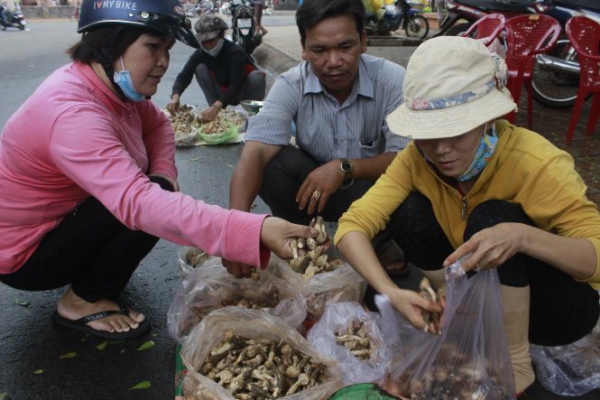 Nấm mối được bày bán tại Long Khánh, Đồng Nai - Ảnh: NG.TRÍ