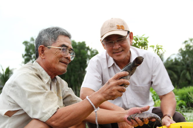 Ông Lê Phương Vũ (trái) khoe với Bí thư Huyện ủy Võ Văn Út giống cá bống tượng gia đình ông thả nuôi thử nghiệm Ảnh: V.TR.
