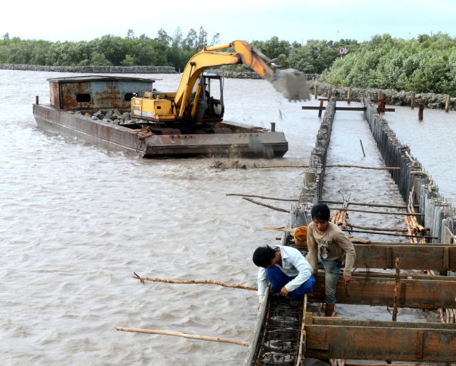 Trồng rừng và xây bờ kè bảo vệ đất được nhiều tỉnh ở ĐBSCL tiến hành để đối phó tình trạng biến đổi khí hậu, nhưng kết quả chưa được là bao  Ảnh: HUỲNH LÂM