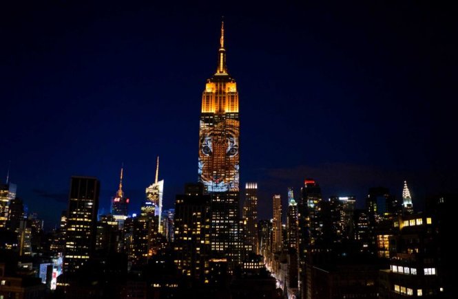 Người dân Mỹ đang xem hình ảnh động vật nguy cấp xuất hiện trên tòa nhà Empire State - Ảnh: AP