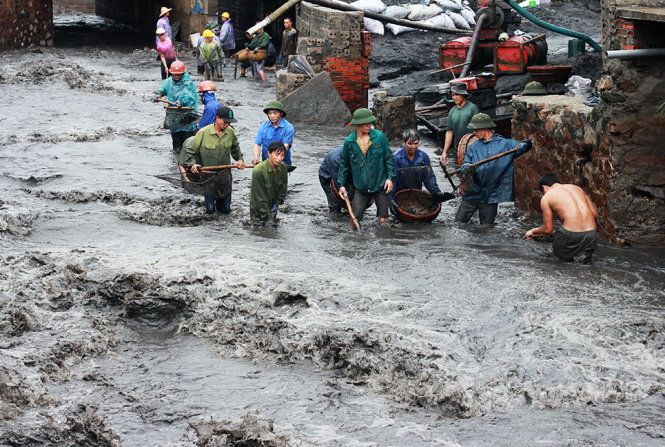 Than chảy từ mỏ than Cọc Sáu (TP Cẩm Phả, tỉnh Quảng Ninh) về suối B5-12 và đổ ra biển - Ảnh: TIẾN THẮNG