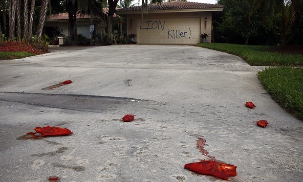 Những kẻ phá hoại rải giò heo dính máu trên đường lái xe vào nhà nha sĩ Palmer  Ảnh: AP
