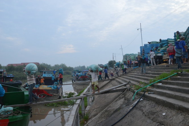 Công nhân bốc vác làm việc tại bến hàng hóa - Ảnh: Ng. Tài