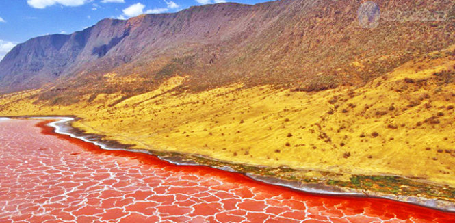 Từng mảng sinh vật tảo tạo nên màu đỏ tươi hung dữ trên hồ nước Natron, Tanzania - Ảnh: Purewow