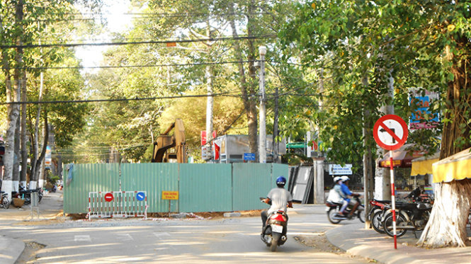 TP Trà Vinh xây dựng hệ thống thoát nước giữa đường để không đụng đến rễ cây xanh - Ảnh: Lê Công Sĩ