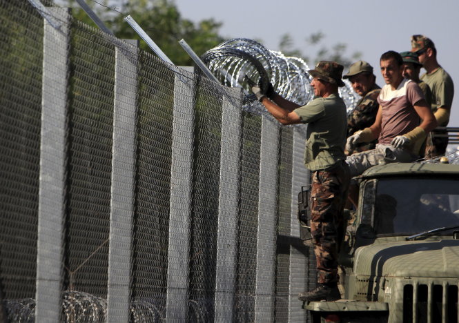 Binh sĩ Hungary gắn thêm dây kẽm gai ở hàng rào biên giới gần Asotthalom, hôm 30-8 - Ảnh: Reuters