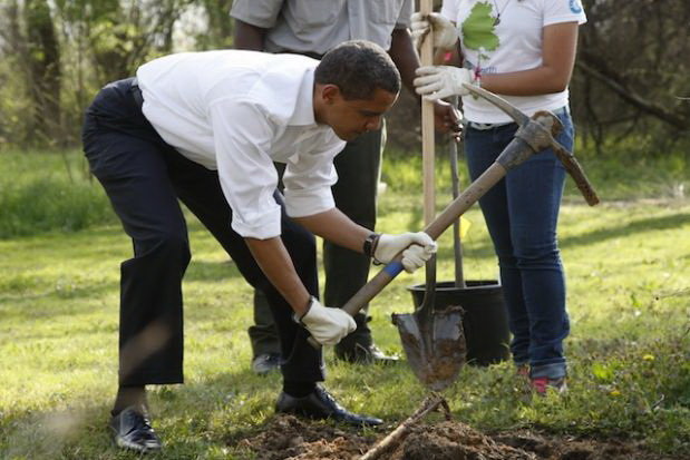 Tổng thống Mỹ Barack Obama trồng cây trong Vườn thủy sinh Kenilworth ở thủ đô Washington - Ảnh: Reuters