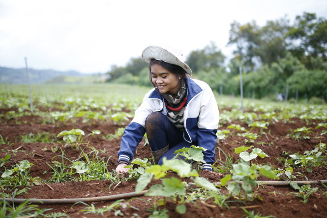 Triền miên làm thuê trả nợ vay nóng nên tân sinh viên Tou Prong Nhật Lệ gần như thạo nhiều việc nhà nông - Ảnh: MAI VINH